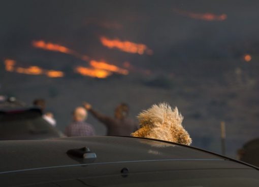 Kabakaran hutan di California. (Foto: Getty Images/BBC News)