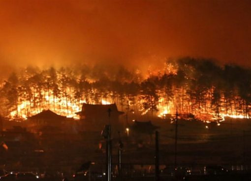 Sebanyak 872 truk pemadam kebakaran dan 3.251 petugas pemadam kebakaran dari seluruh negara bekerja mengatasi kebakaran di Korea Selatan.(Foto: Reuters/Al Jazeera)