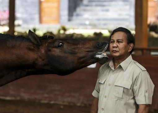 Prabowo Subianto bersama salah satu kuda kesayangannya.