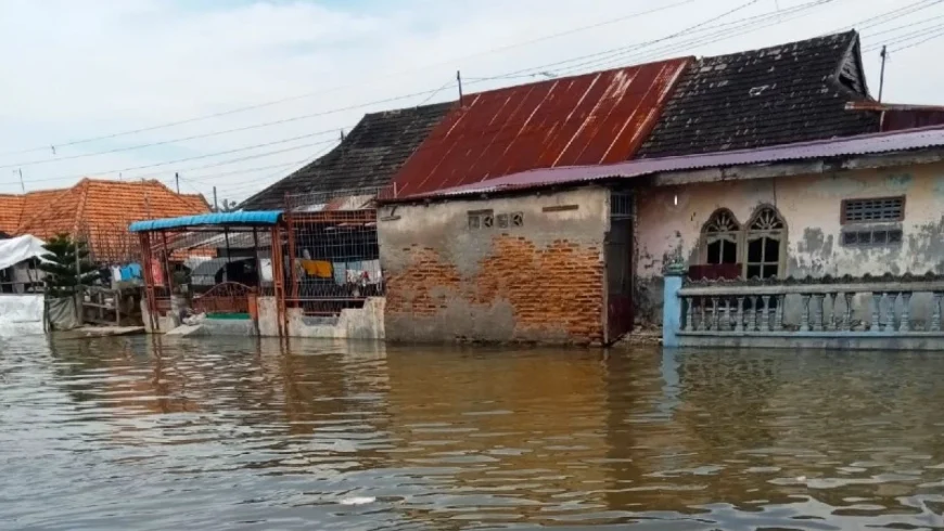 Banjir rob.